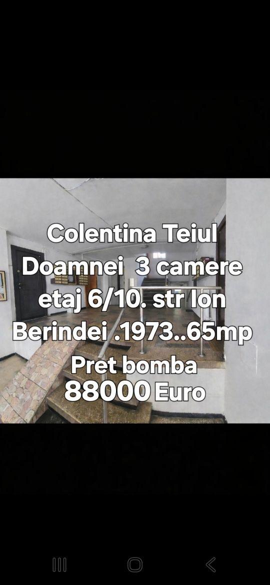 Colentina Teiul Doamnei 3 camere