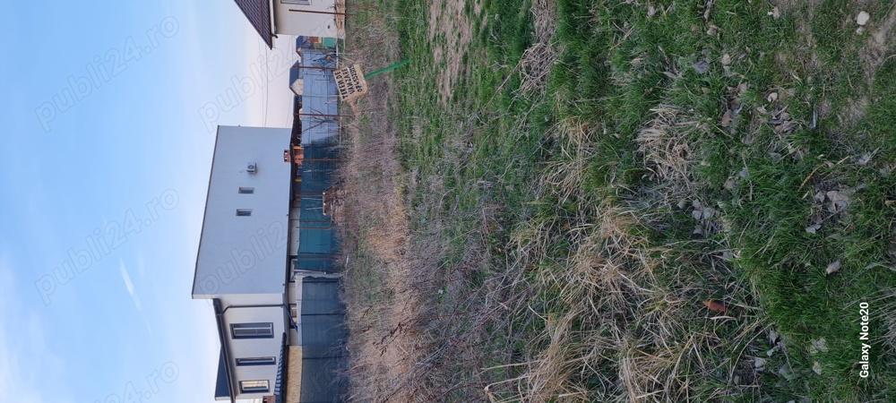 Teren intravilan Str Primaverii Berceni