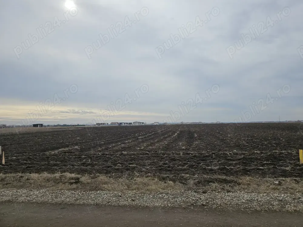 Teren intravilan 317 mp Comuna Berceni