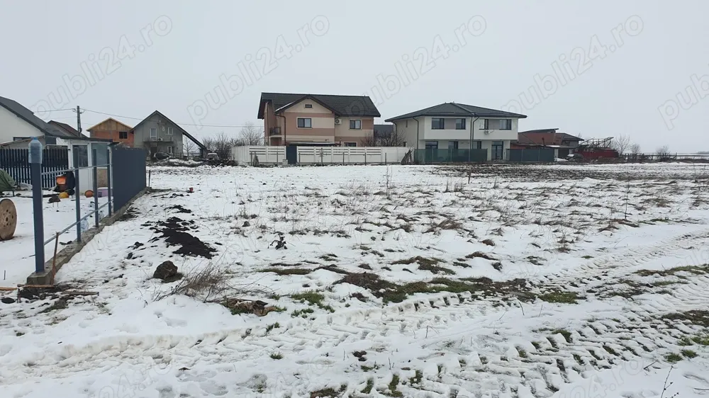 POZE REALE Teren intravilan 300mp - Strada Calugareni - Comuna Berceni