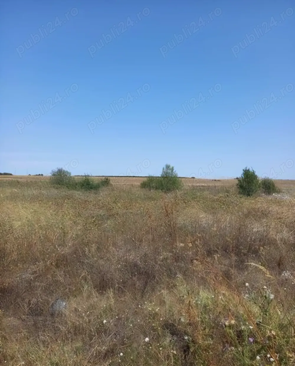 Vanzare teren in comuna Berceni