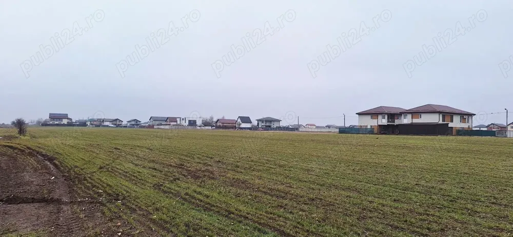 Teren Ilfov com Berceni