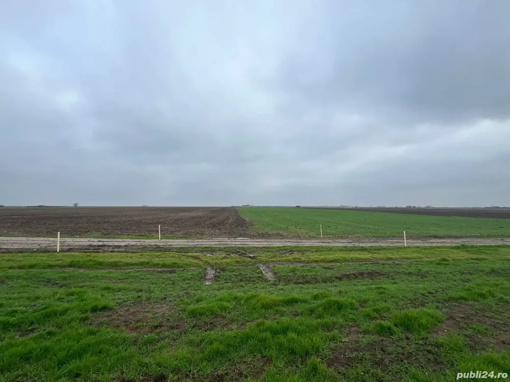 proprietar vand 5 loturi teren intravilan comuna Berceni