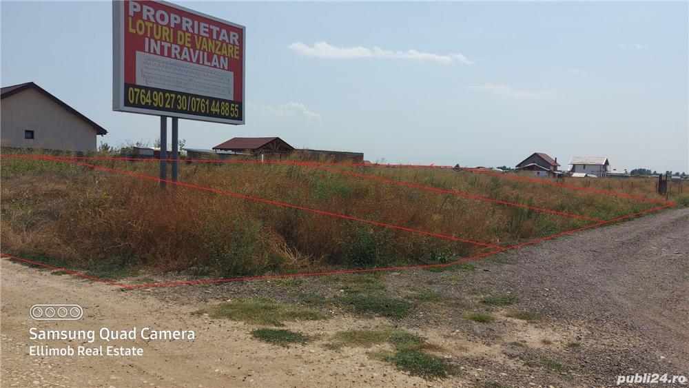 Berceni-Primaverii-3 loturi intravilane-1x250mp-15000 eur, 2x455mp,d-17ml,25000eur lot