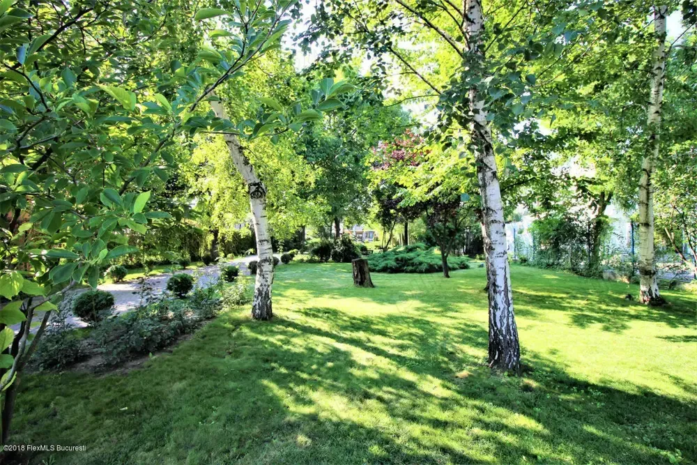 Buftea teren superb pe colt dublu acces 500mp 16x32ml include AConstruire P+E