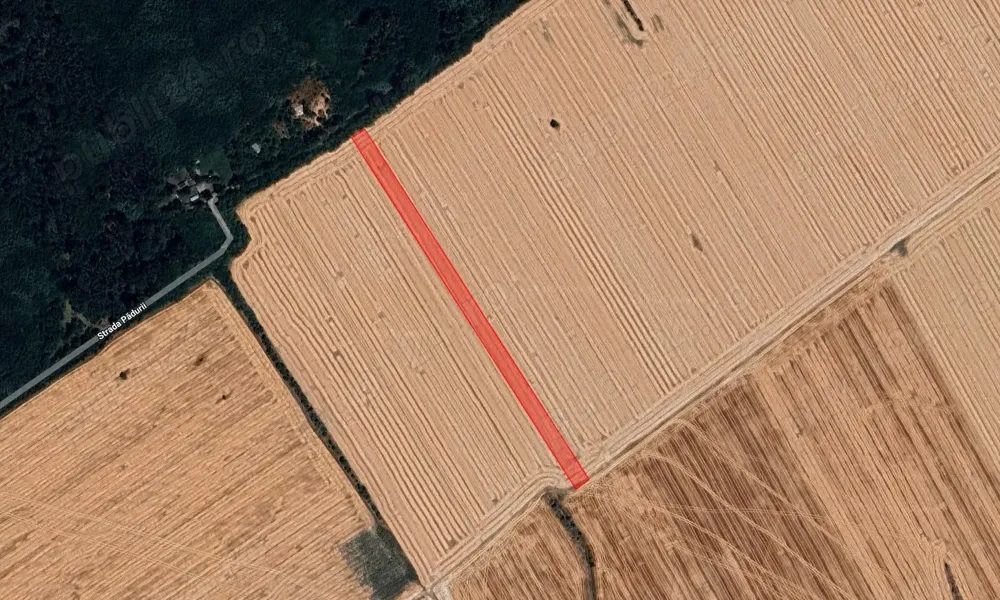 Teren intravilan Buftea