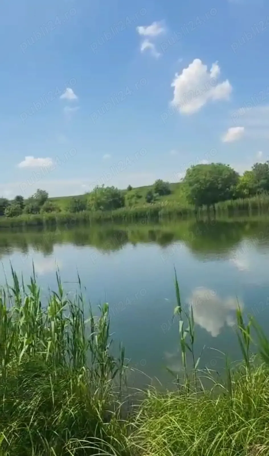 Teren la Buftea cu deschidere la lac