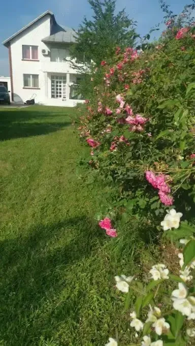 vand   schimb   Vila buftea Calul Balan direct la lac    2000mp  teren - imagine 1