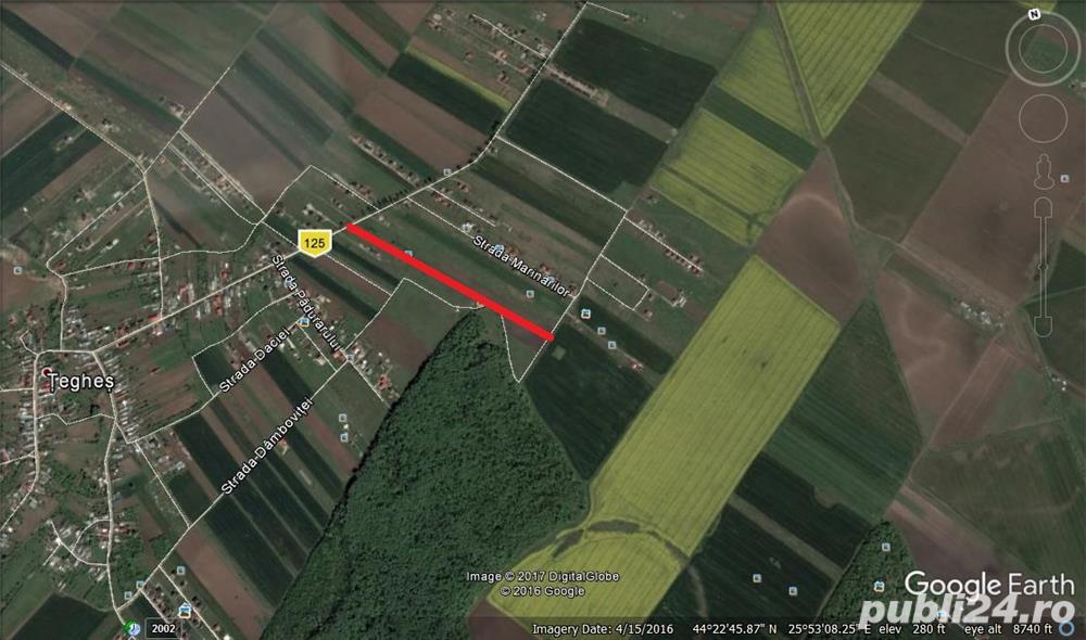 Teren de Vanzare Ilfov Domnesti - Teghes
