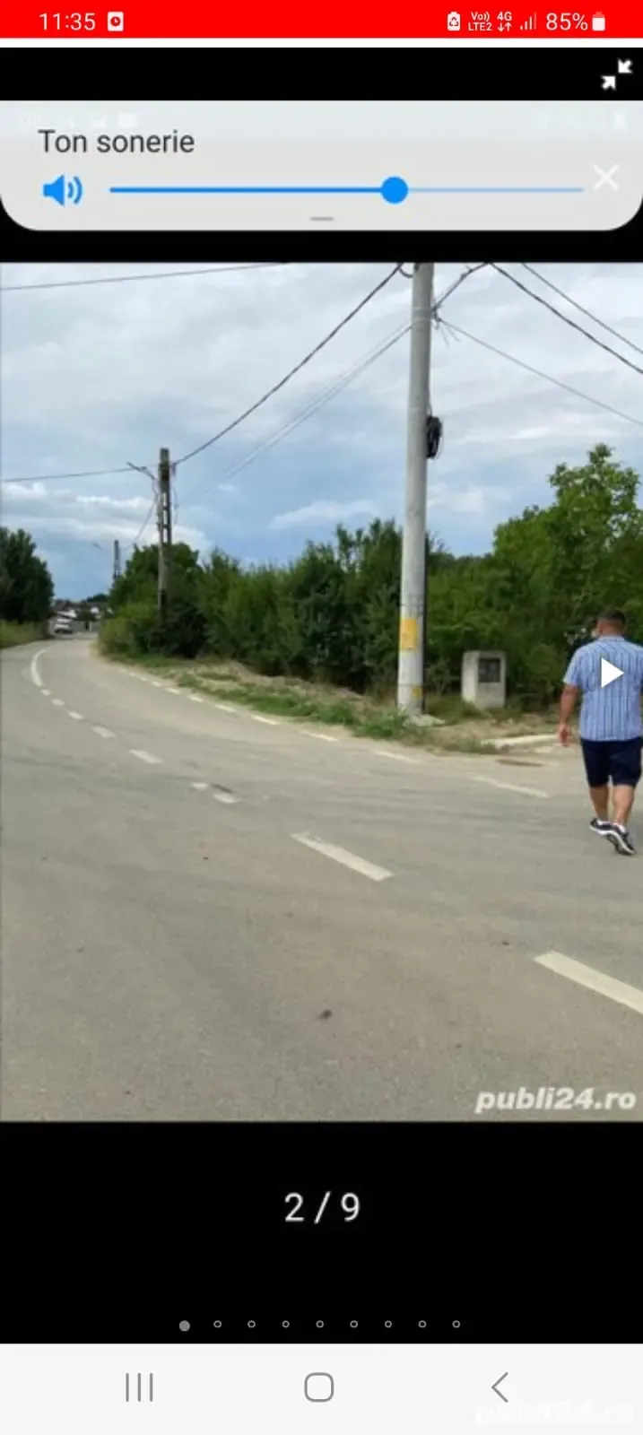 Domnești-Teghes Ilfov