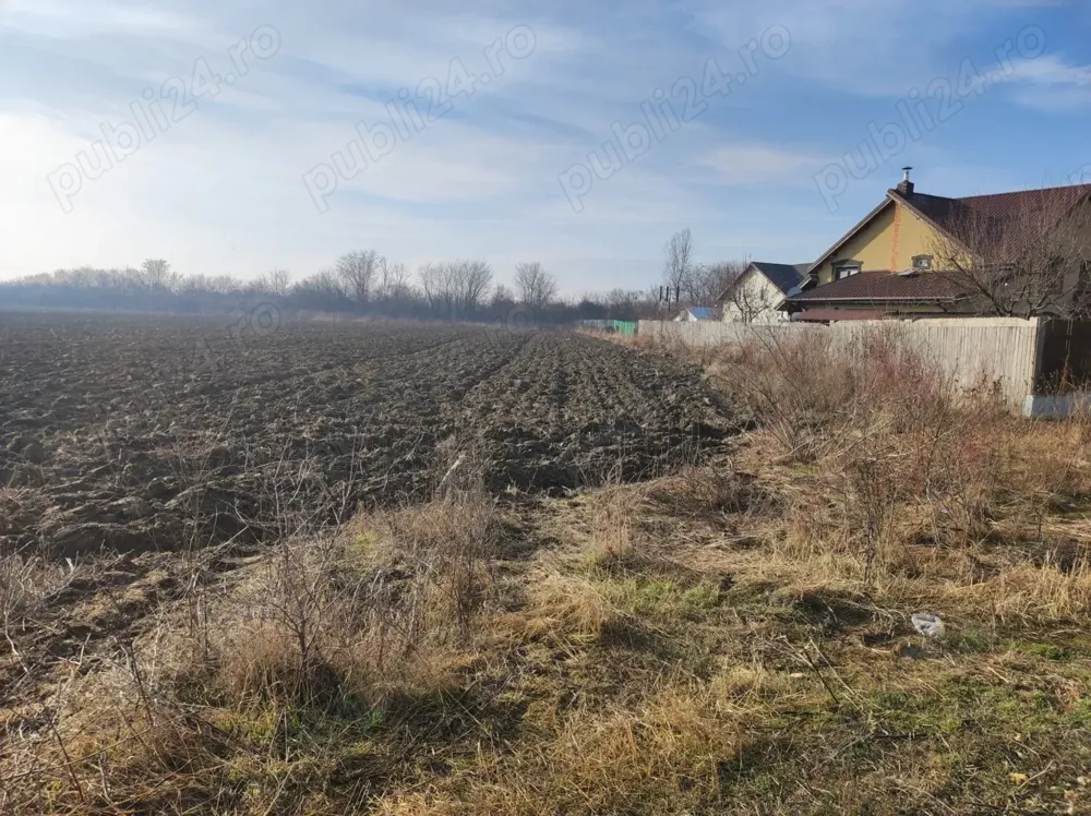 Teren intravilan 2700 mp   Măgurele, lângă pădure, stradal