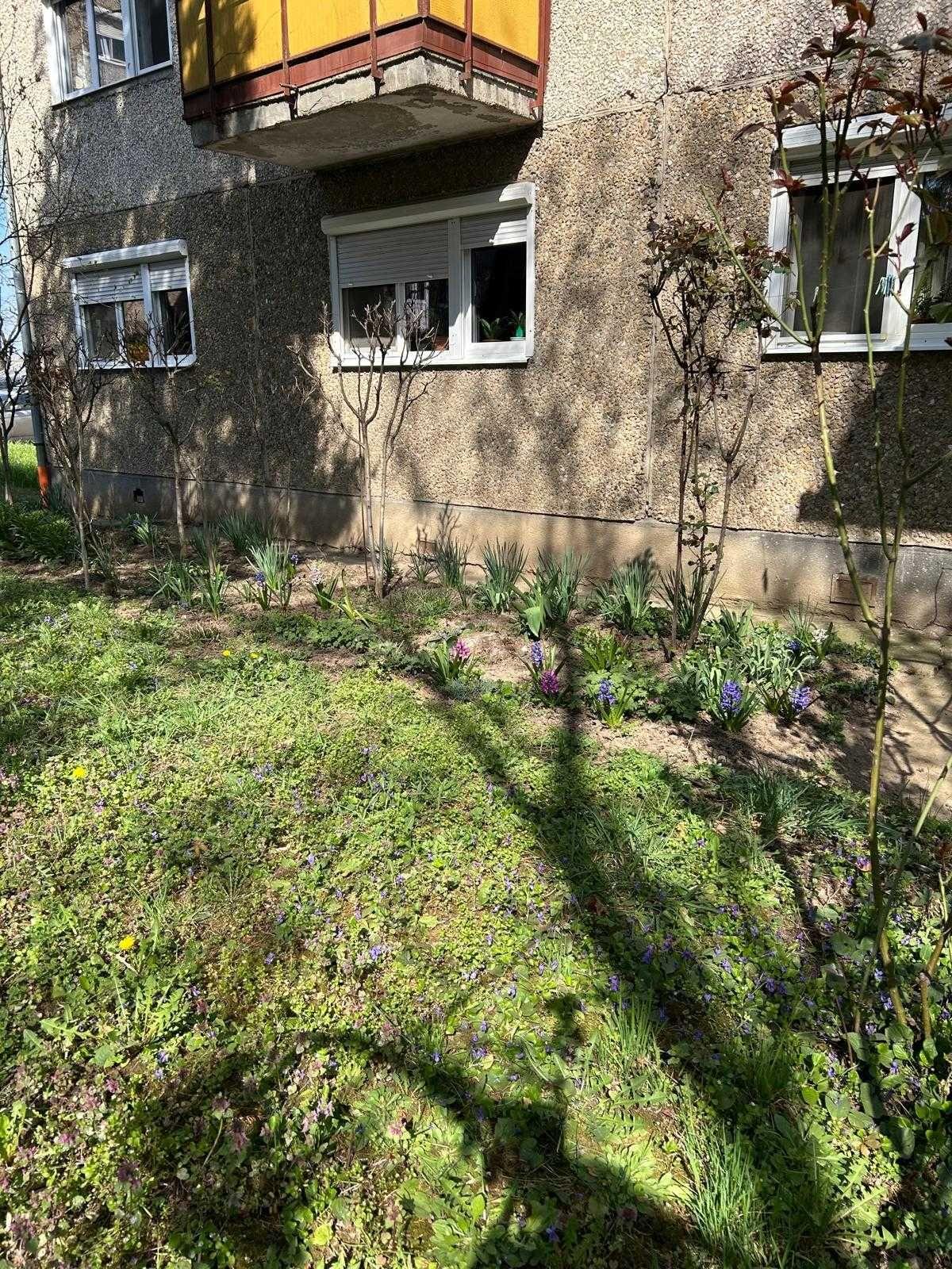 Apartament  cu 2 camere Parter de vanzare in Rogerius - imagine 1