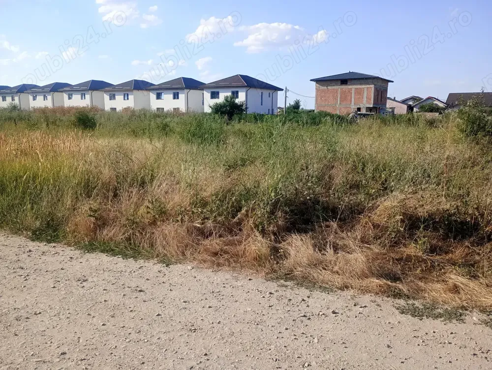 Vanzare teren 630mp  Pantelimon - Rascoalei