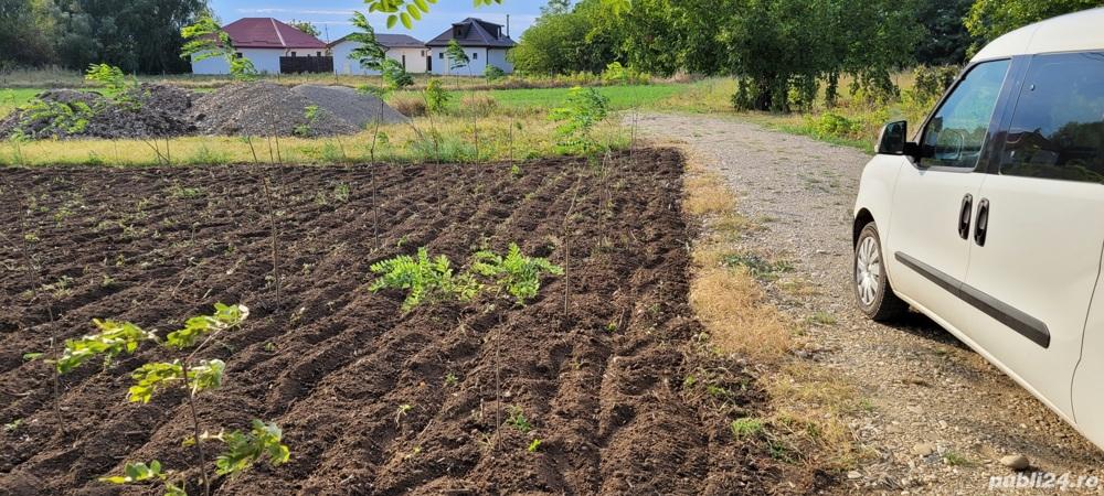 Doua loturi la 15km de Piata Unirii, schimb