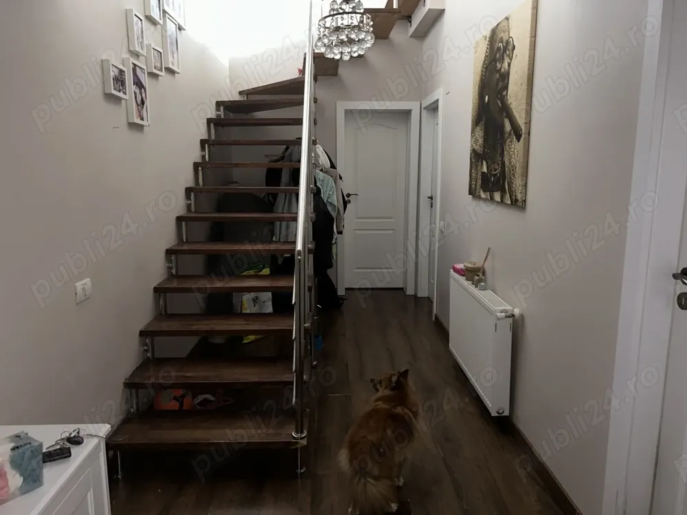 Penthouse Voluntari Terra Residence