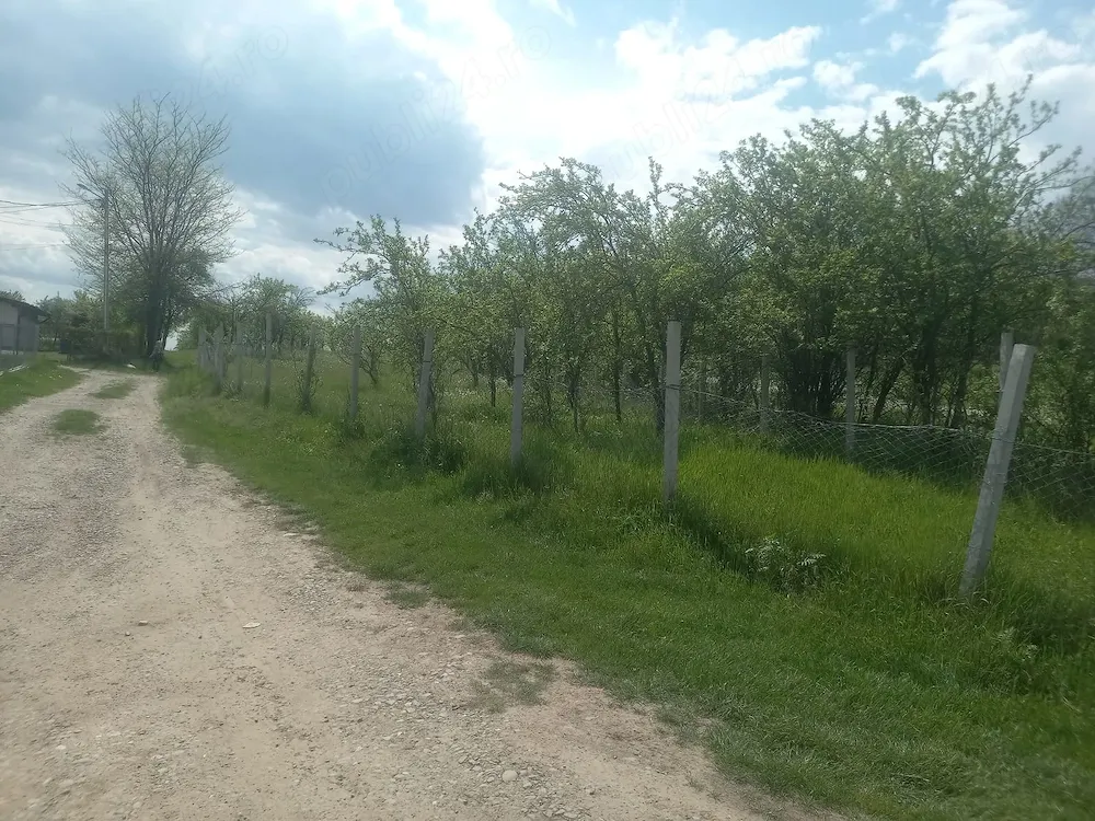 Vânzare teren comuna Ogretin sat Drajna  prahova