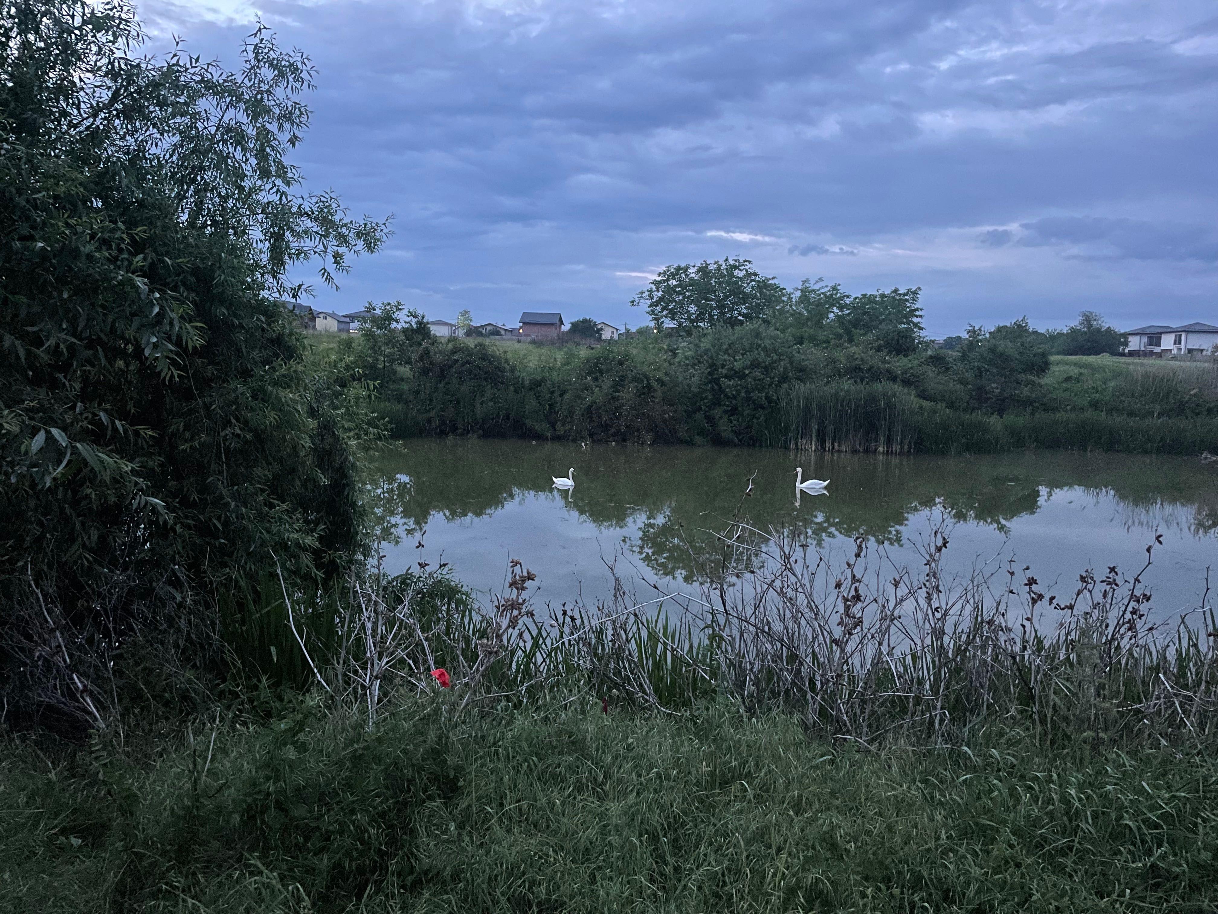 Teren intravilan de vanzare Ilfov - imagine 1