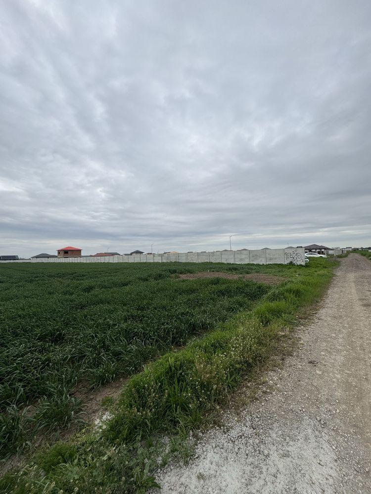 Teren de vanzare Extravilan Berceni-Vidra - imagine 1