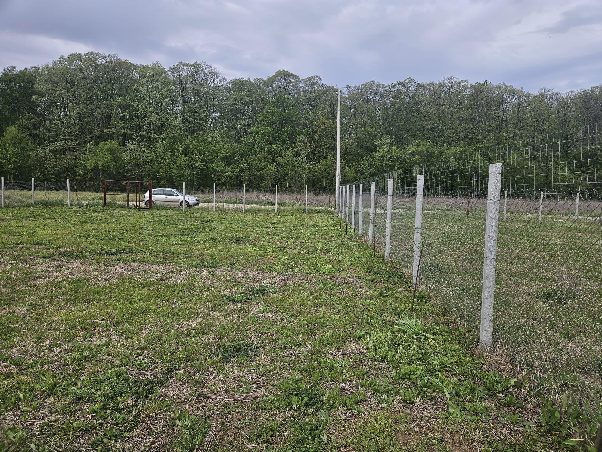 Teren de vânzare 780 mp lângă pădure, Crevedia/Cocani - imagine 1