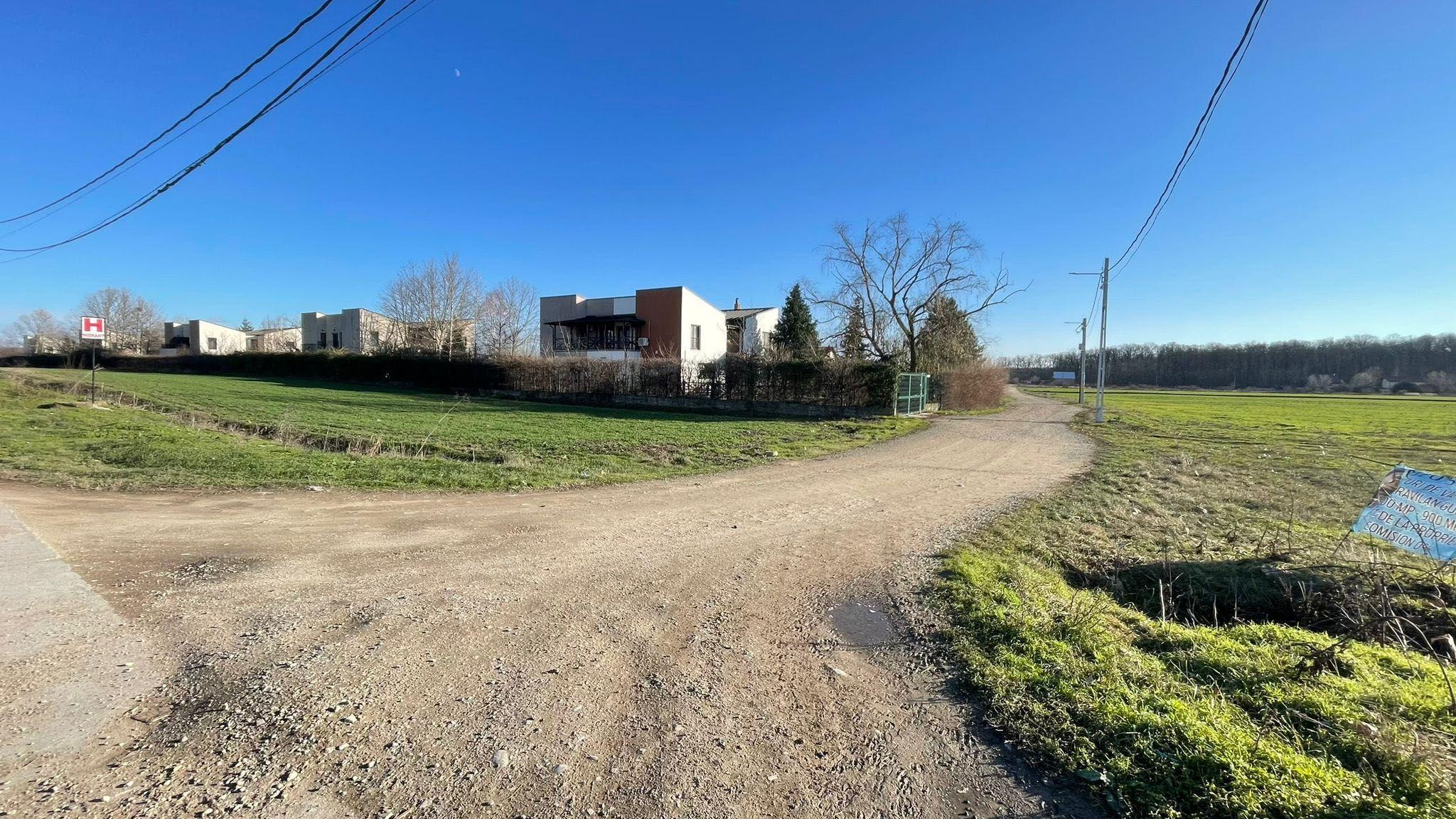 Teren intravilan, 1000mp, toate utilitatile, Chitila - Gulia