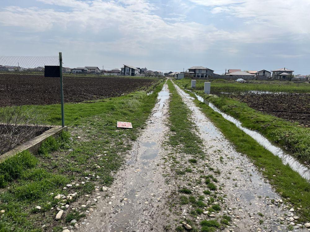 Vand Teren Intravilan Domnesti