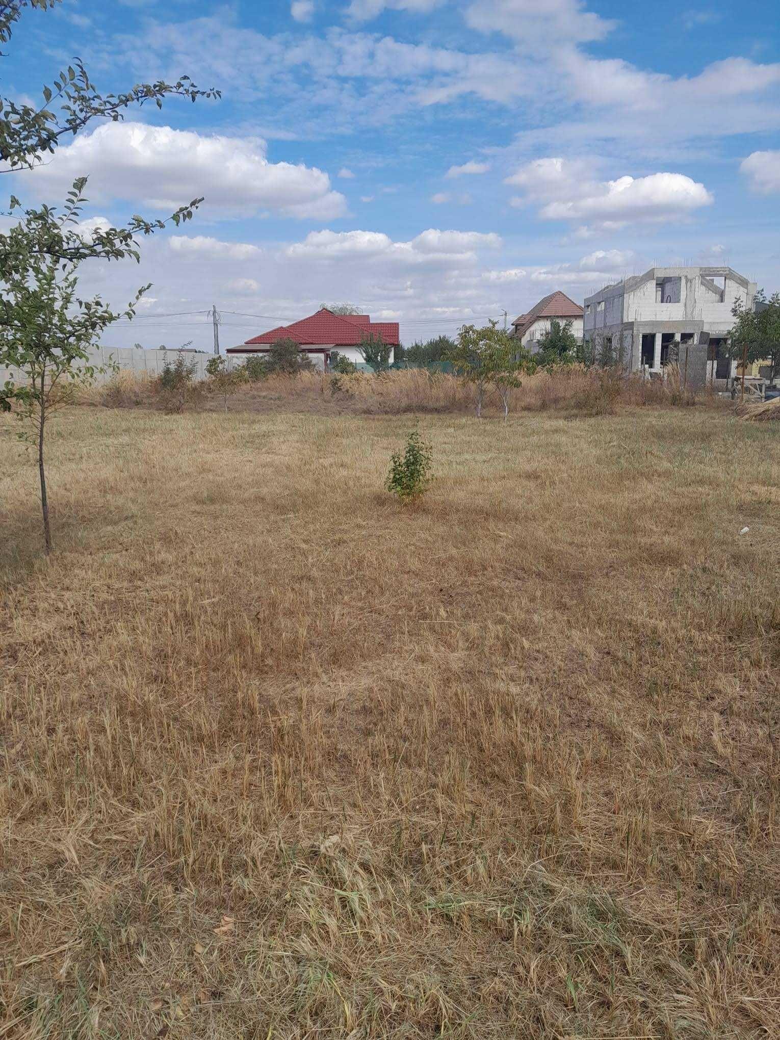 Teren de vanzare Domnesti