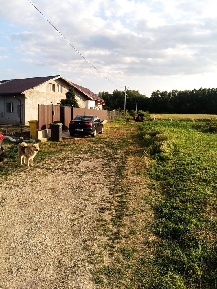 Teren de poveste Domnești Sat Țegheș lângă pădure