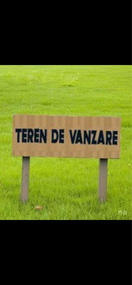 Teren de vanzare 5000 m Magurele ilfov variante