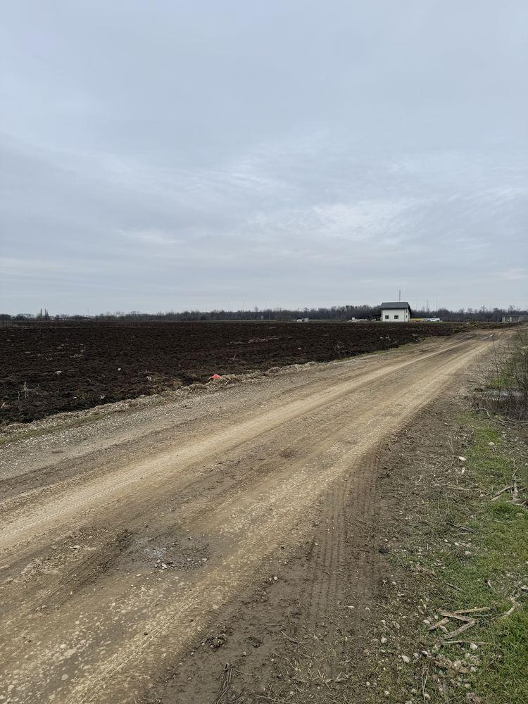 Suprafata 5000 mp sau 2500 mp De vinzare Sau Inchiriere 1Euro Mp - imagine 1