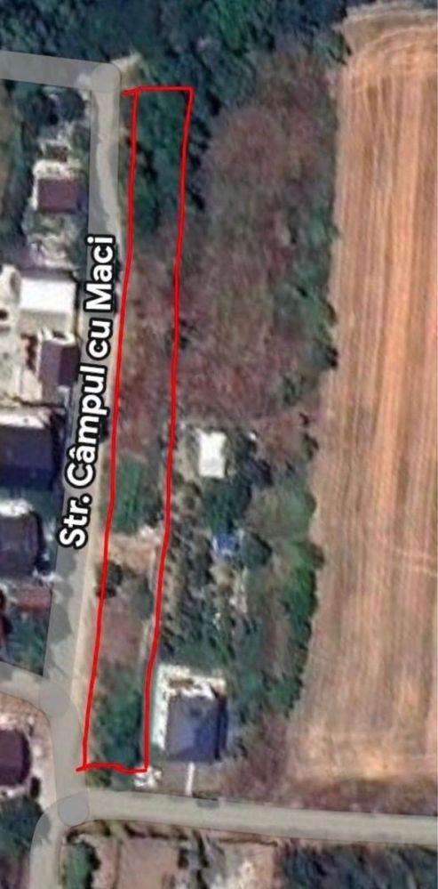 2000 mp Campul cu Maci Magurele