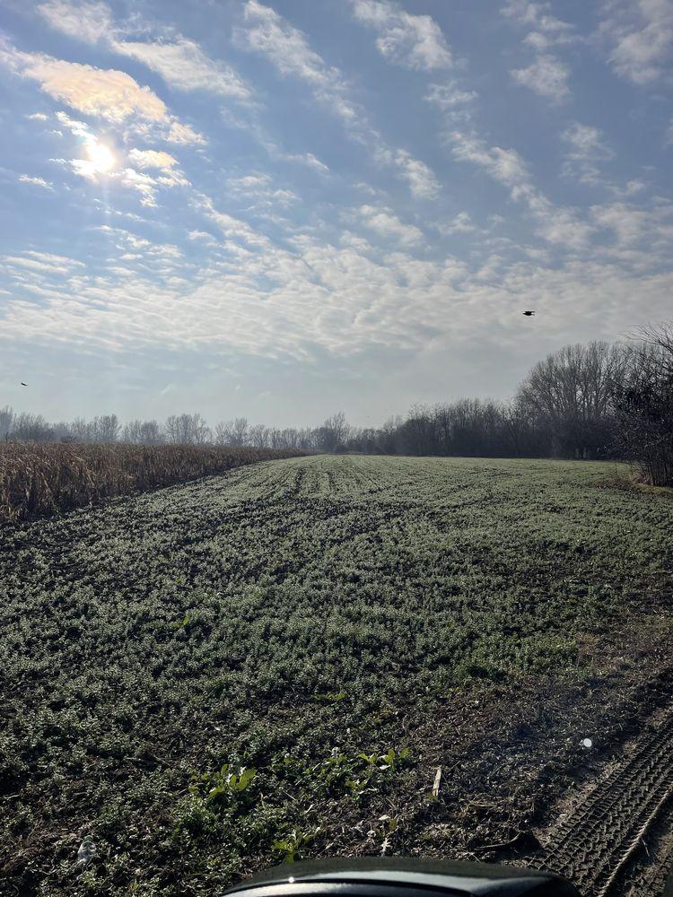 Teren de vinzare 2000 mp Oferta Sau Inchiriere 1Euro MP !!