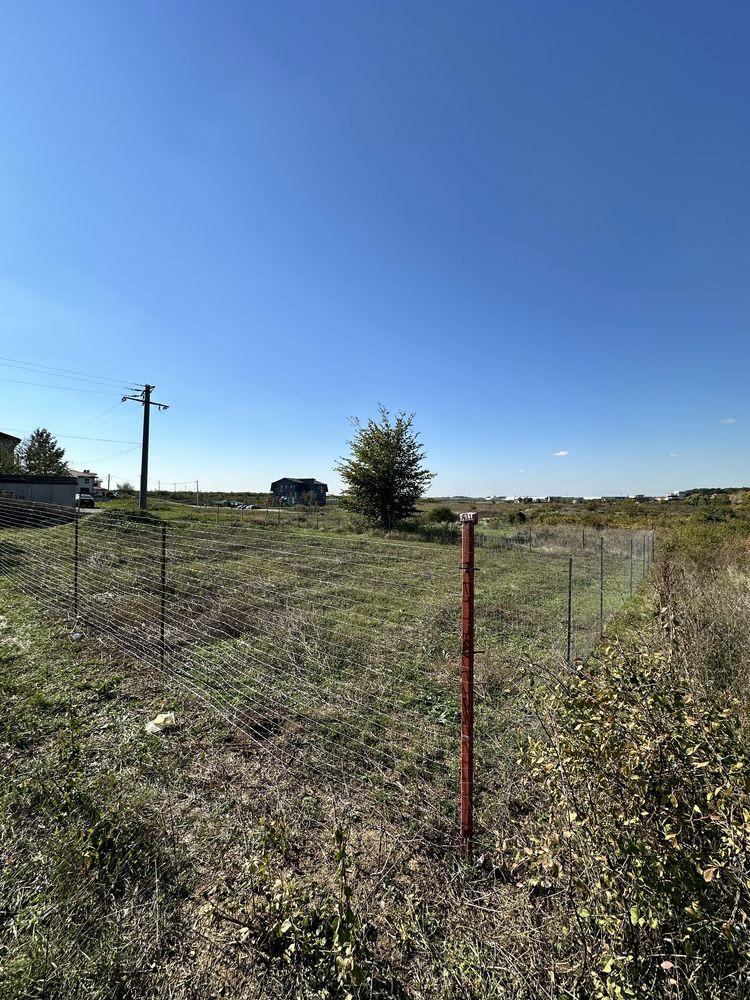 Teren Mogosoaia 624mp (proprietar) - imagine 1