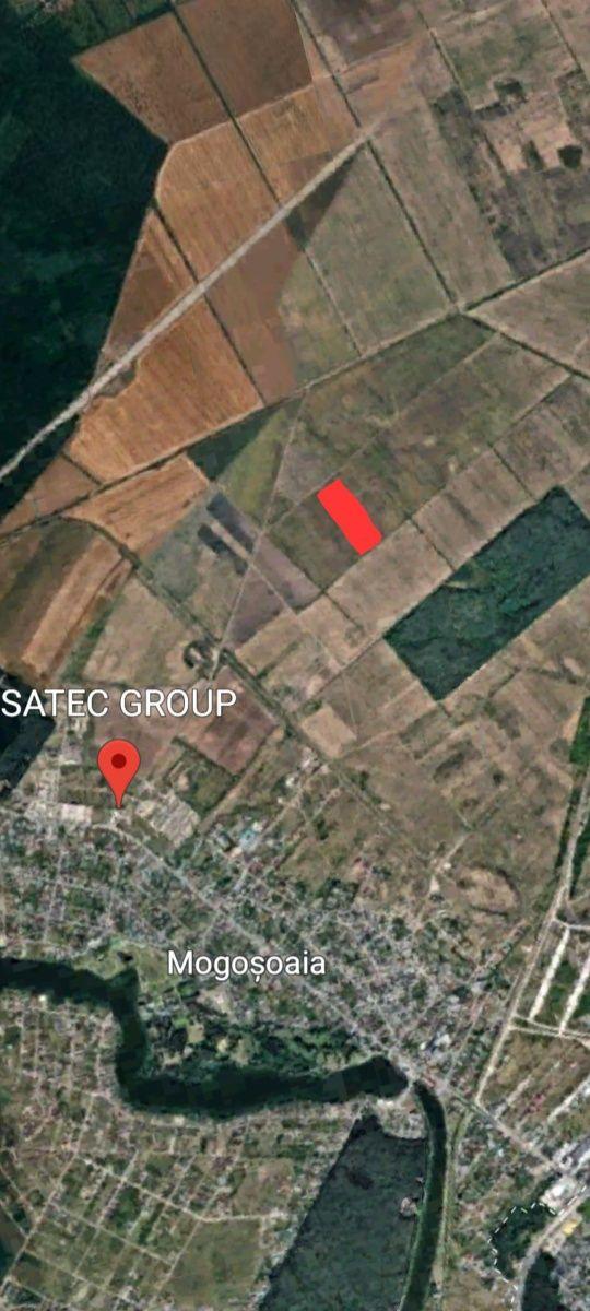 Teren de vanzare în Mogoșoaia - imagine 1