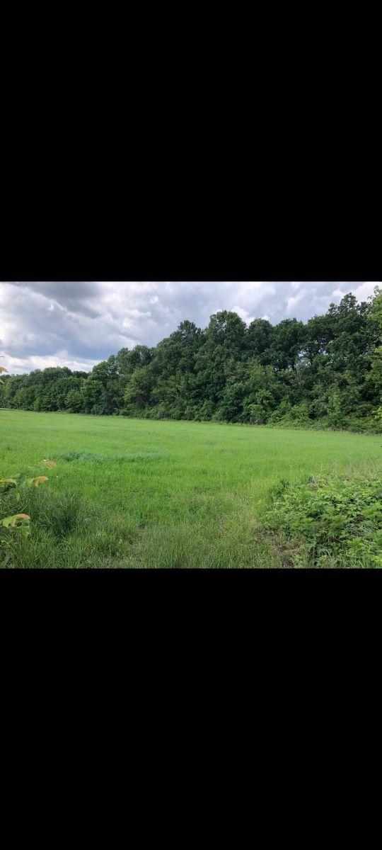 Teren intravilan la pădure pt cartier case, salon evenimente,cabane - imagine 1