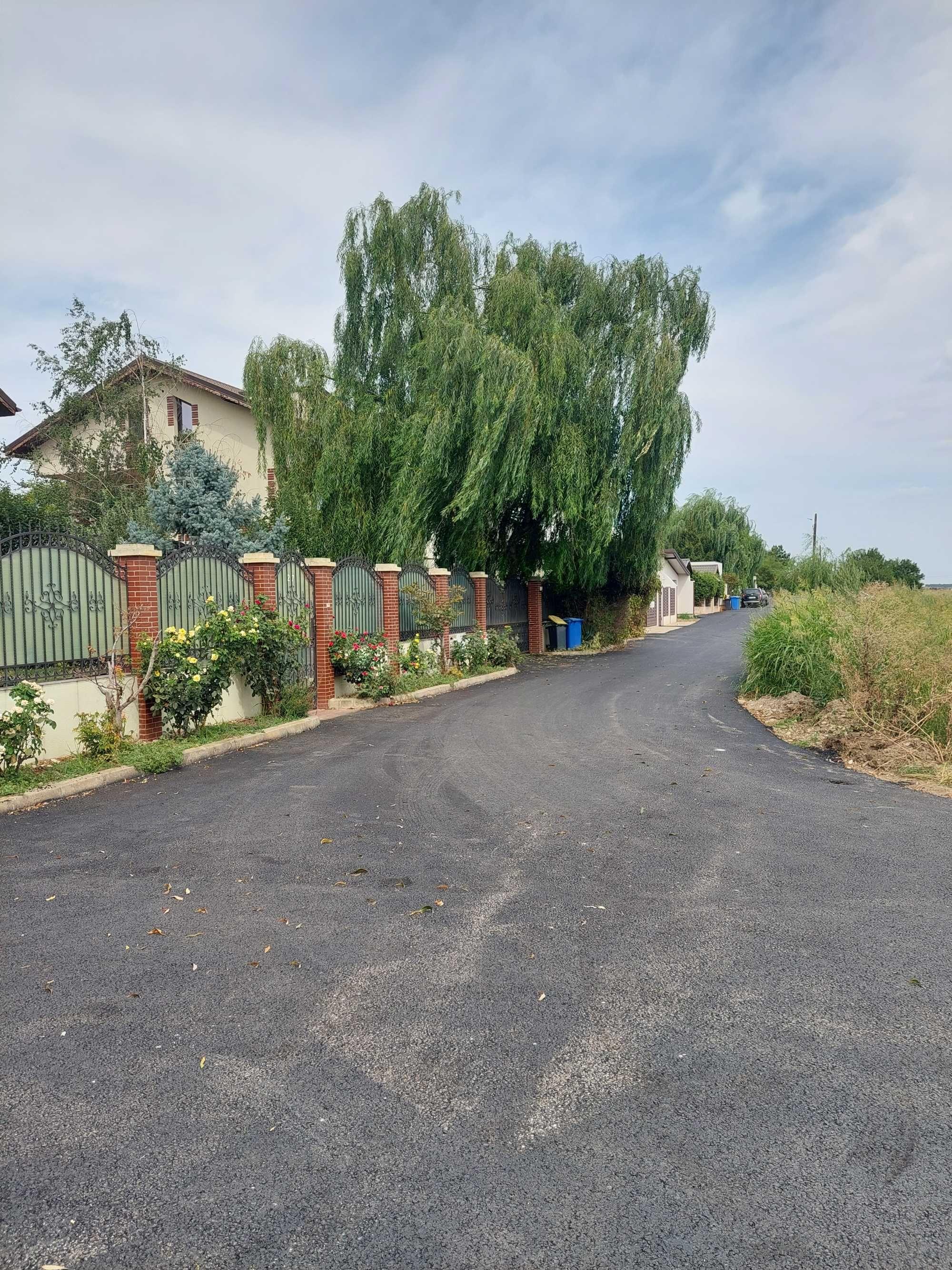 Teren intravilan 630 mp - saftica - imagine 1