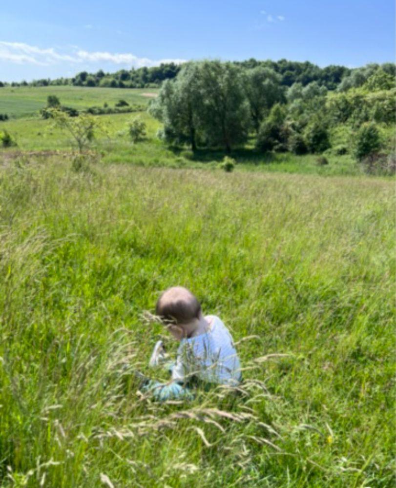 Teren extravilan întabulat Baciu