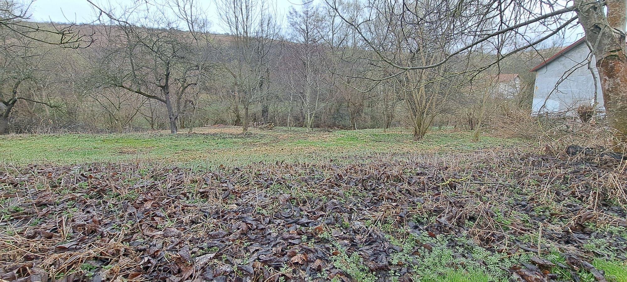 Teren in Ciurila - imagine 1