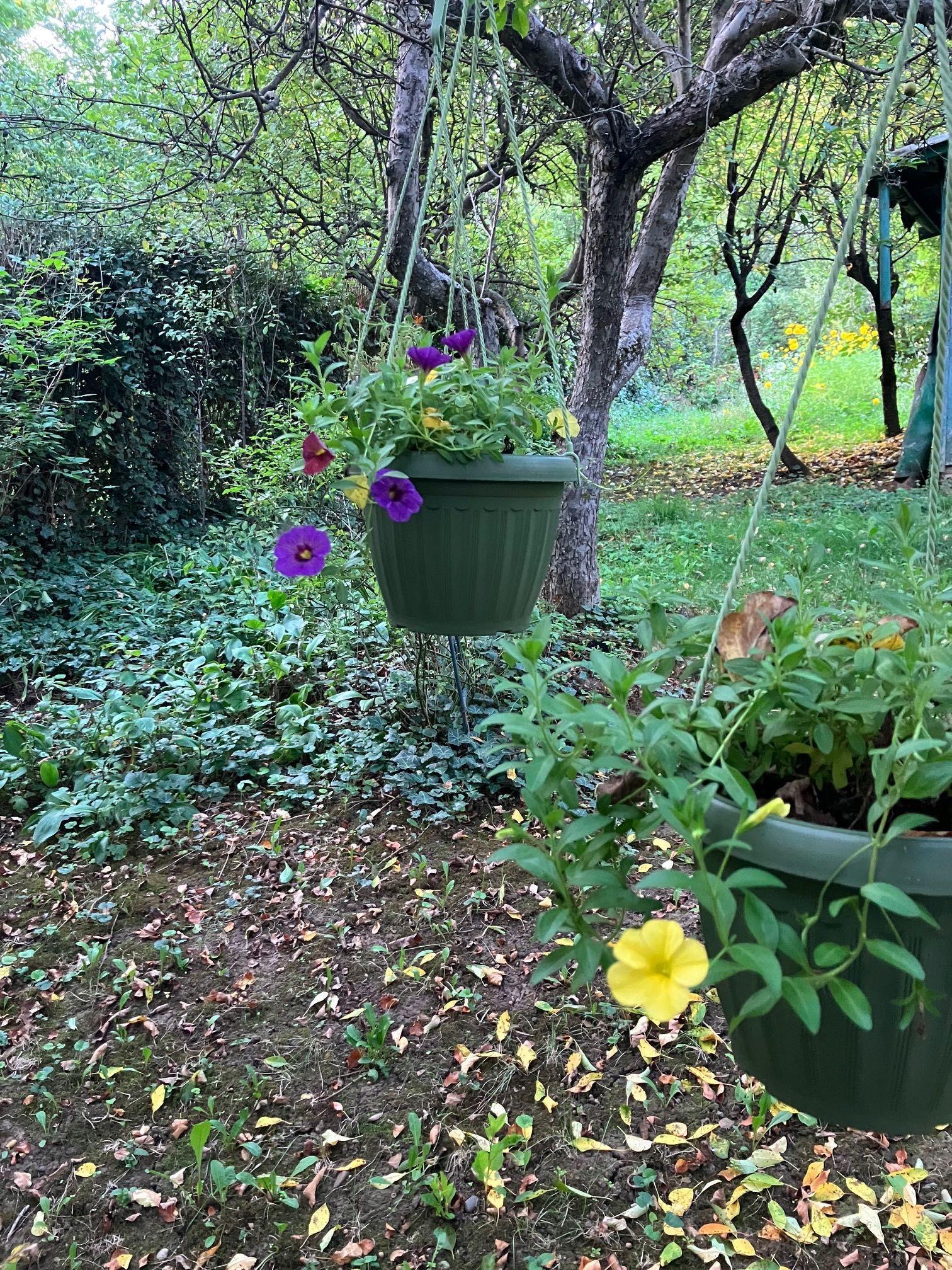 Vand teren din zona Platou Tudor - imagine 1