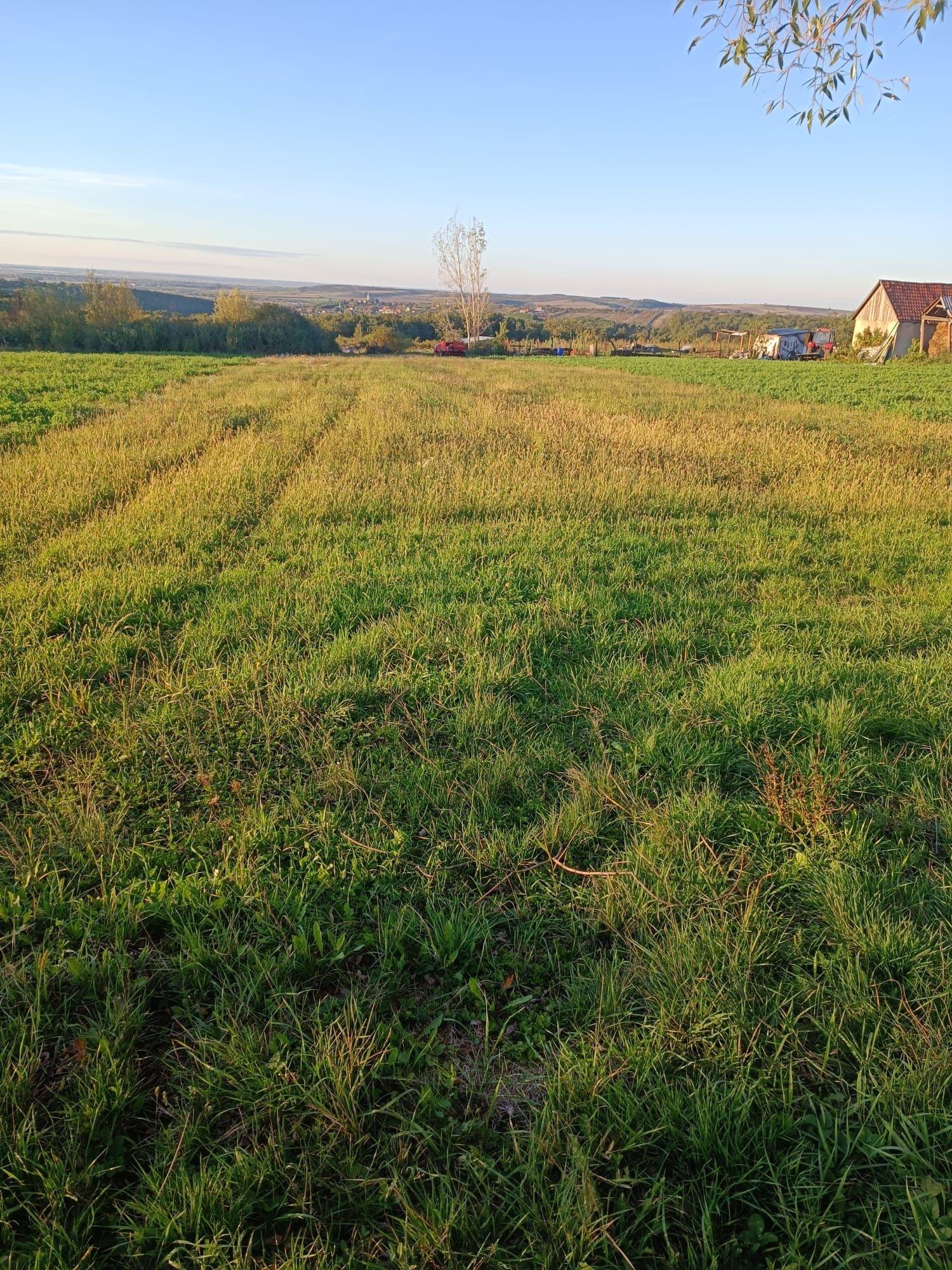 Vând casă în Săldăbagiu de Munte