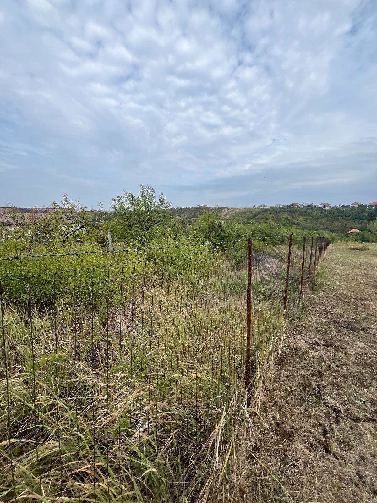 VÂND 1000 M Teren INTRAVILAN ,Zona Adevarului  Strada  LIVEZILOR