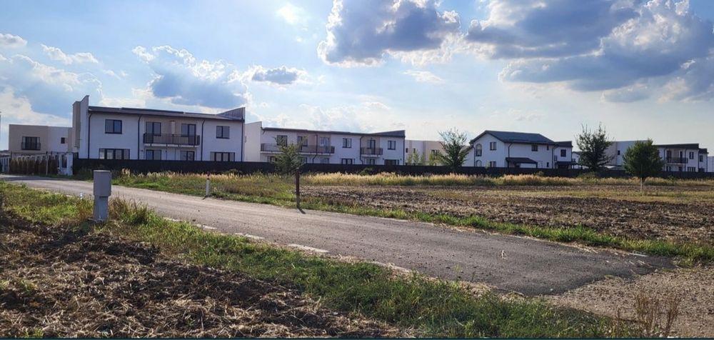 Teren Domnesti Ciutaci