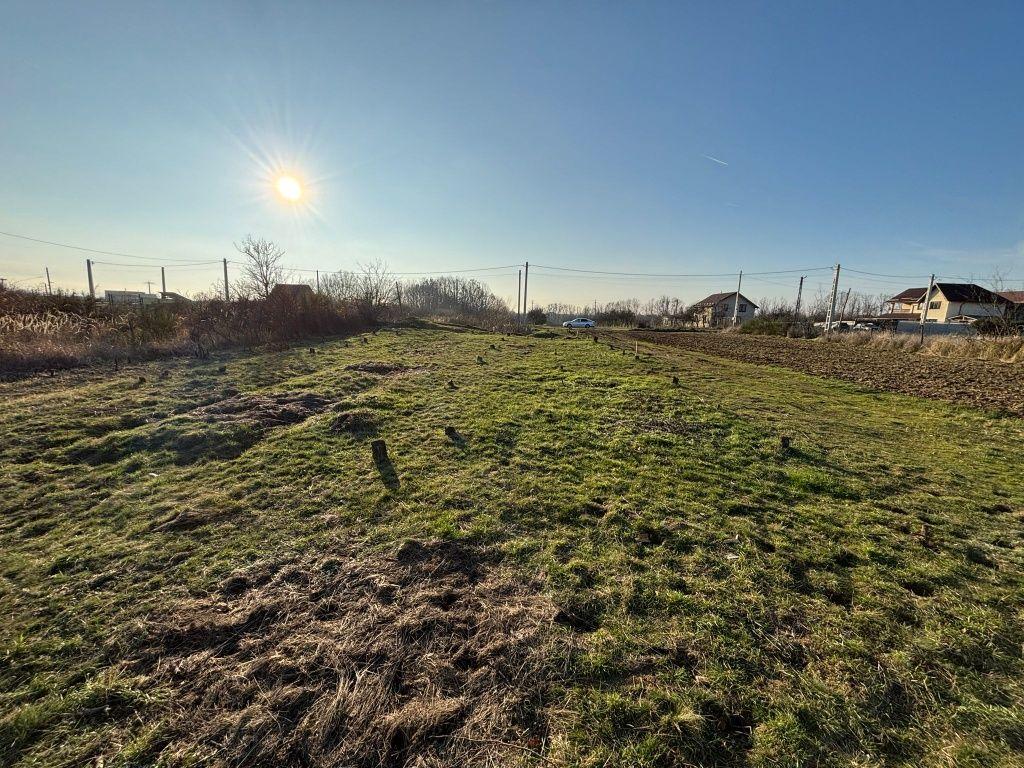 Vând Teren Moșoaia.