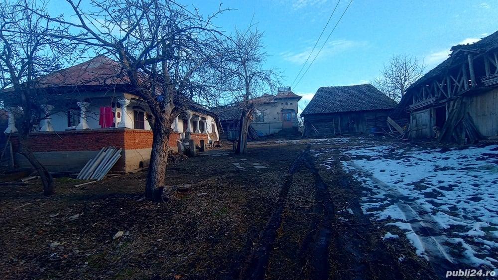 Gospodărie rurala, casa, terenuri