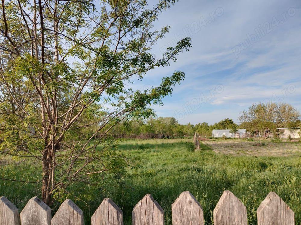 Teren Prundu Mic 1665 mp - imagine 1