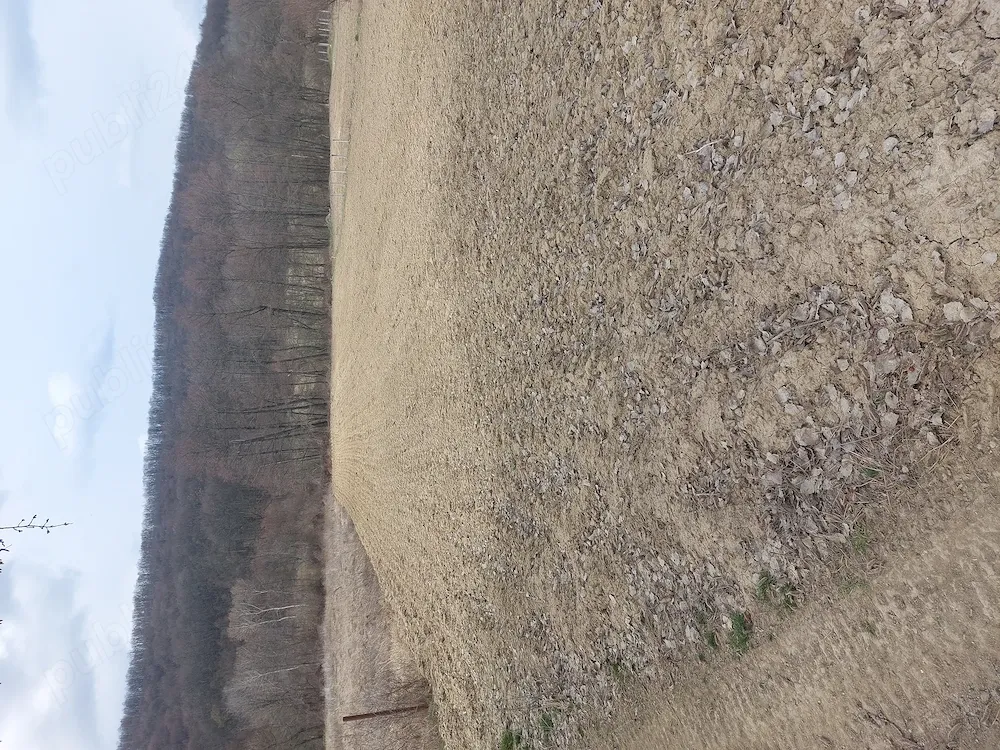 Teren în comuna Drăganu