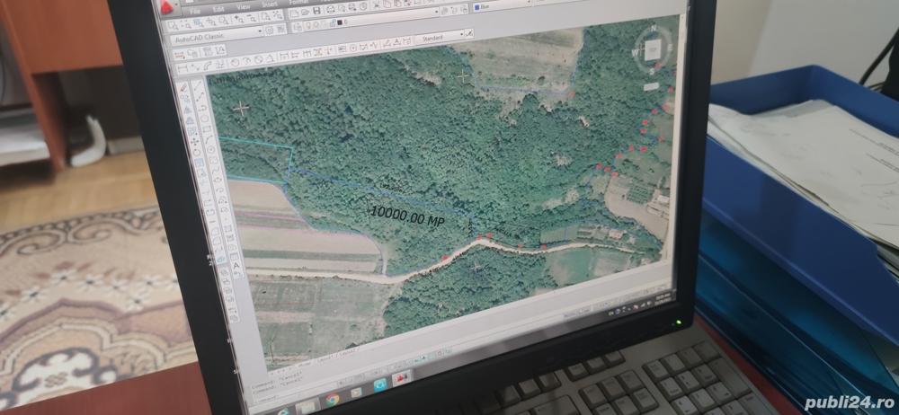 Vand padure lângă sat