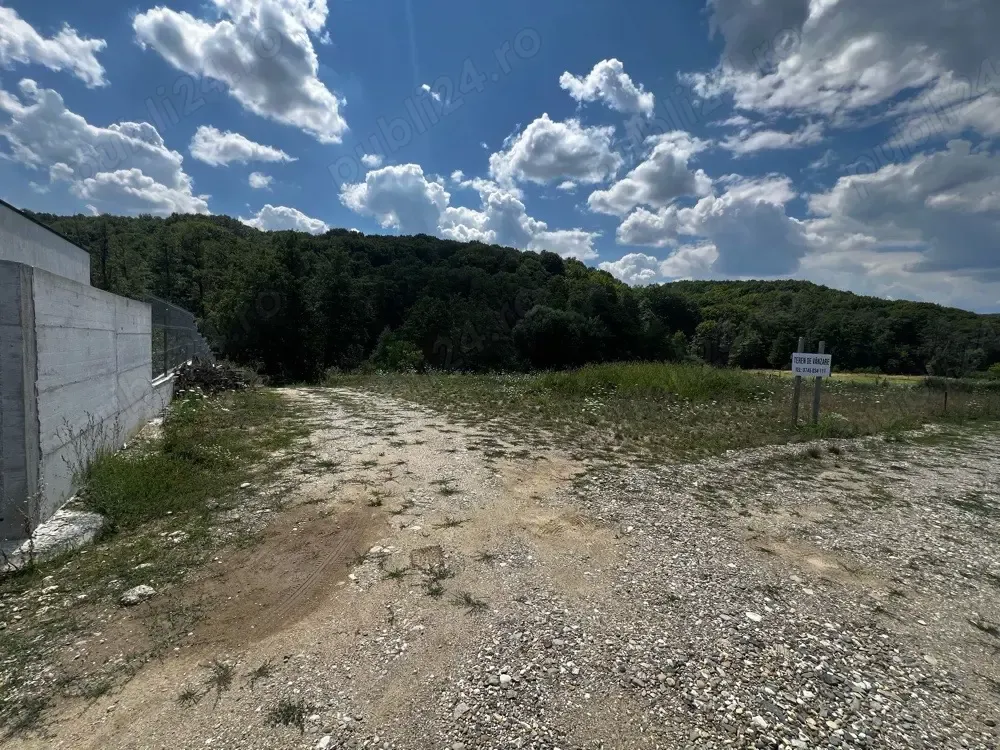 Teren intravilan 850mp Bascov Str Macesului padure si raul Bascov langa teren