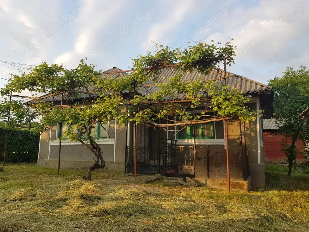 Casa 40 arii de teren in loc.Trestia la 26km de Baia Mare 40.000 Euro