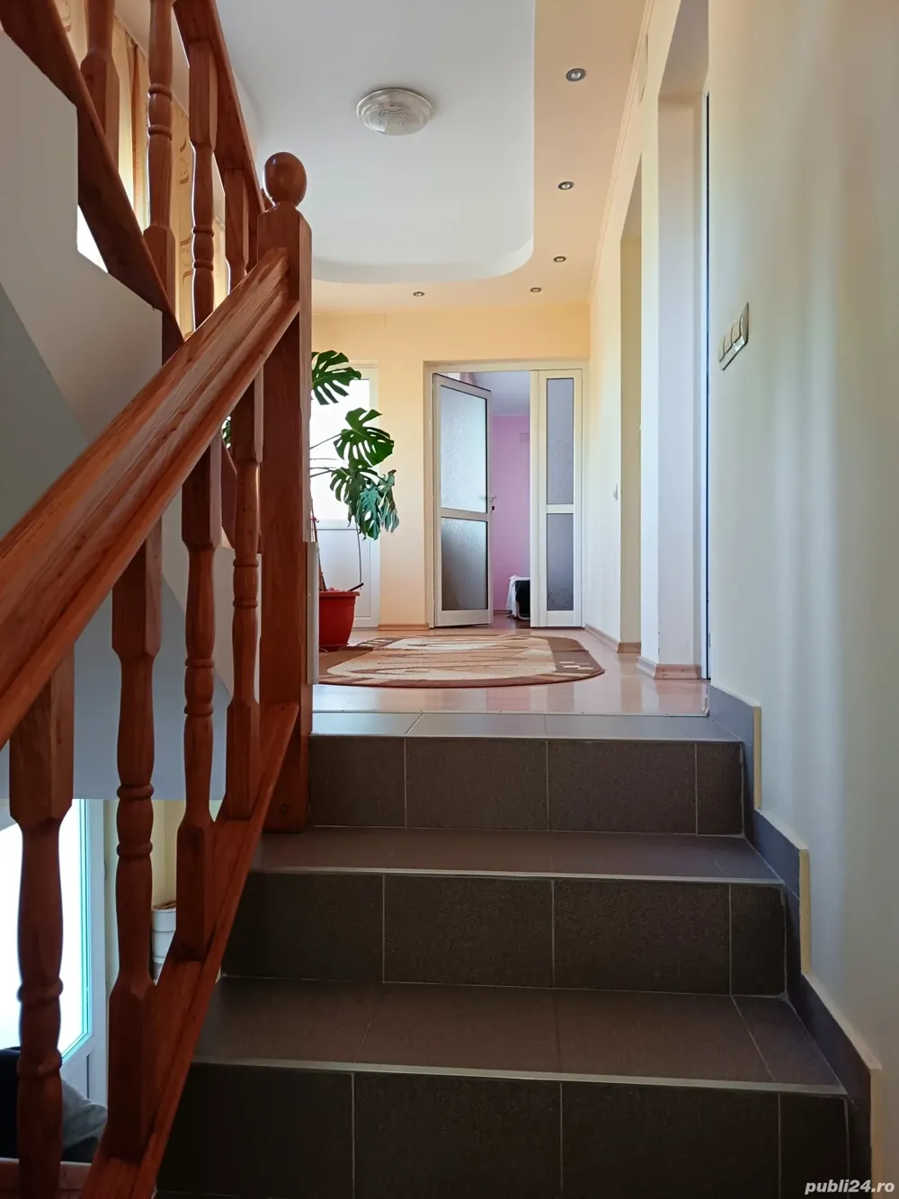 Casă Goranu lespezi