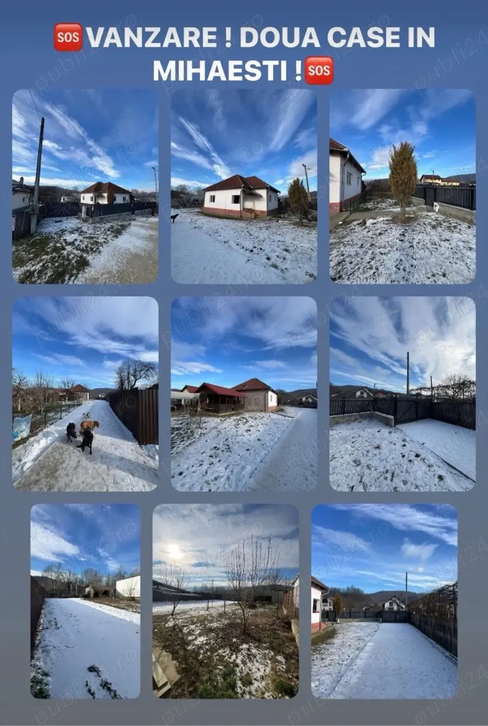 De vanzare 2 Case in Mihaesti